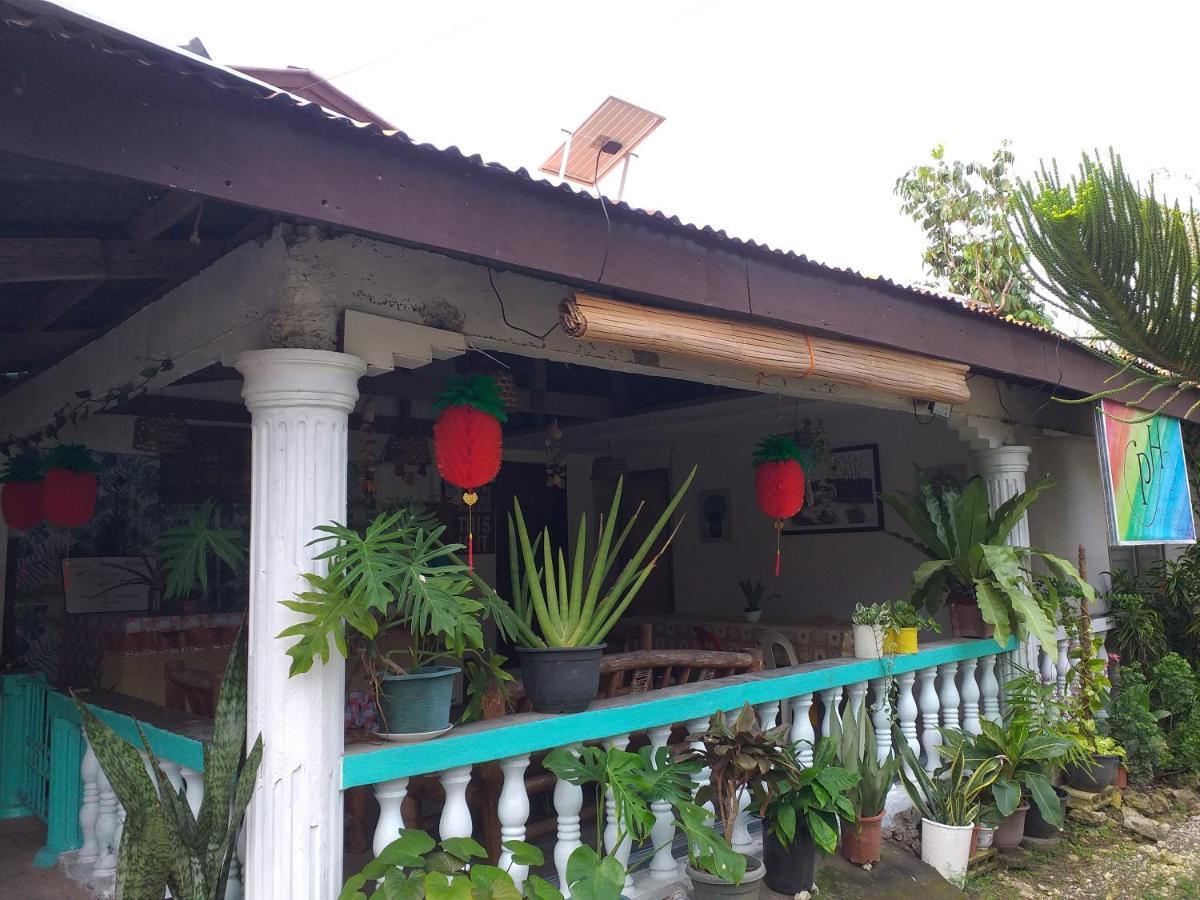 Paraiso Hostel Moalboal Exteriér fotografie